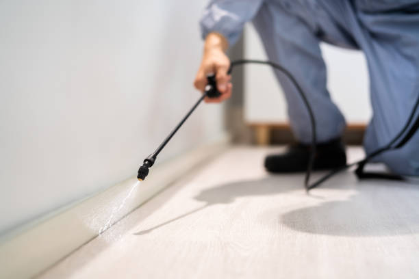 Licensed Pest Control service in New Boston, TX - Show Me Pest Control